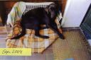 Dateiname=2_Missy_7_Mon_jung_1.jpg
Dateigröße=52KB
Abmessungen: 598x400
hinzugefügt am: 19. April 2011 2_Missy_7_Mon_jung_1.jpg