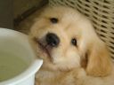 clara_1__tag_12_mai_2011_043.JPG