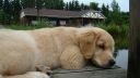 mutz_30_07_2011_010.JPG