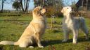 mutz_sept_okt_nov_2011_193.JPG