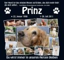 Gedenktafel_Prinz_Ansicht.jpg