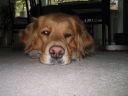 Cheyenne_28129.JPG
